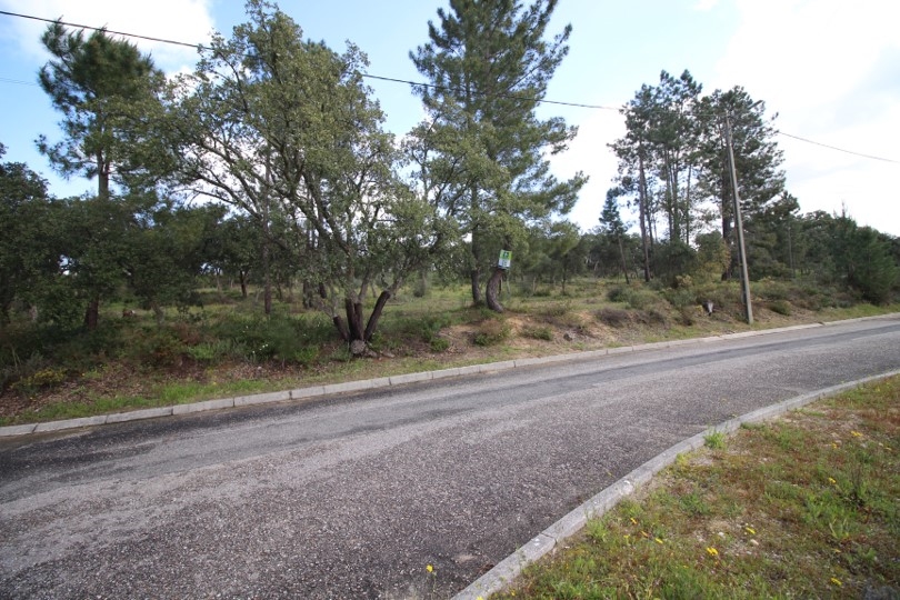 Terreno