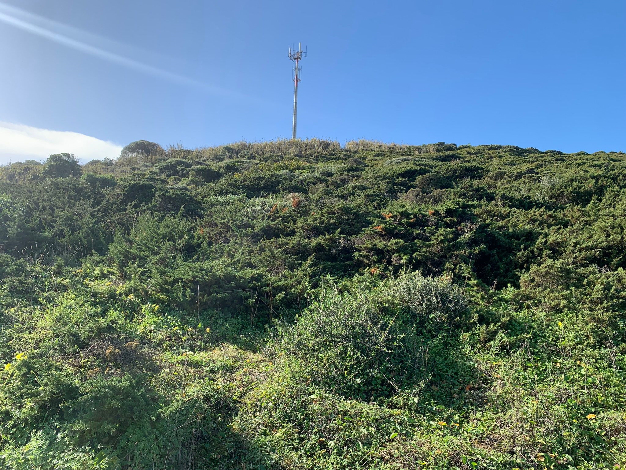Terreno
