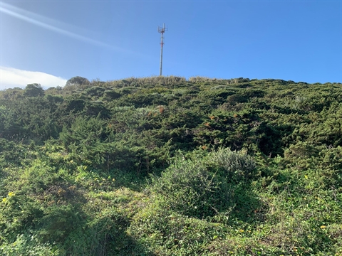 Terreno